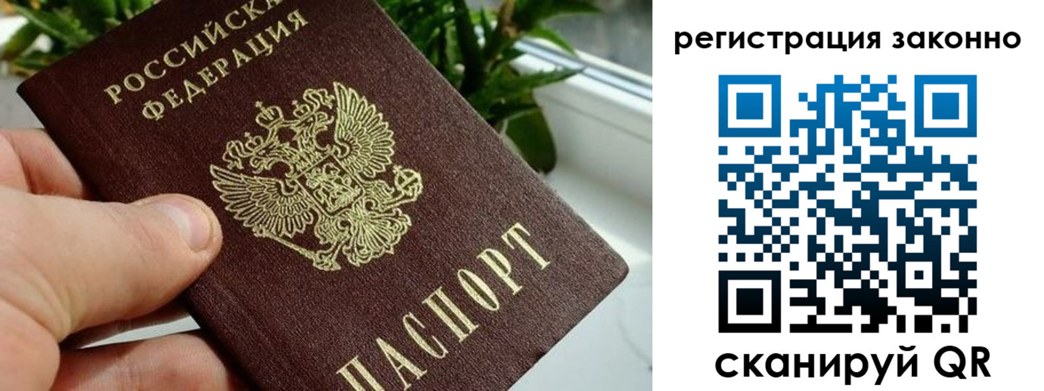 прописка гарантия в Пересвете